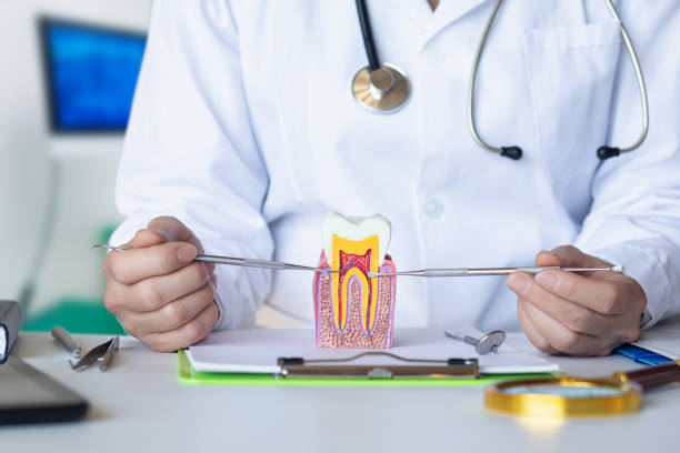 Best Walk-In Emergency Dentist in Allegan, MI